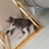 Ailem olur musun fotoğraf