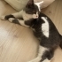 Ailem olur musun fotoğraf