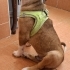 Goffy oyuncu aktif fotoğraf