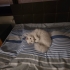 ÖMÜRLÜK YUVA ARANIYOR fotoğraf