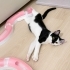 3 aylık dişi yavru kedi fotoğraf