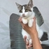Minnoşumuza yuva fotoğraf