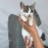Minnoşumuza yuva fotoğraf