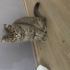 kızımıza yuva arıyorum fotoğraf