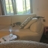6 haftalık mükemmel oyuncu 2 yavru kardeş kedi, dişi ve erkek fotoğraf