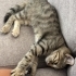 Oyuncu ve çok tatlı bir yavru fotoğraf