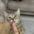 Oyuncu ve çok tatlı bir yavru fotoğraf