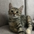 Oyuncu ve çok tatlı bir yavru fotoğraf