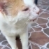 Güçlü oğlumuz yuva arıyor fotoğraf