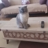 Kendimize acil yuva arıyoruz ömürlük fotoğraf