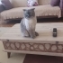 Kendimize acil yuva arıyoruz ömürlük fotoğraf