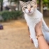 🐾 ÖMÜRLÜK YUVASINI ARIYOR 🏡🤍 fotoğraf