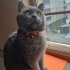 Ediko'ya yeni yuva fotoğraf
