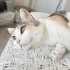 Paytak sokağa geri dönmesin fotoğraf
