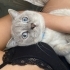 Bulut oğluma ömürlük, sevgi dolu bir yuva arıyorum. fotoğraf