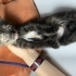 Kaplumbağa kabuğu desenli annesi ölmüş sevimli bebek fotoğraf