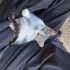 güzeller güzeli minik kız fotoğraf