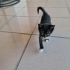 Tekir Siyah Kedi fotoğraf