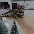 tekir olmasına rağmen uslu oyuncu çok sevgi pıtırcığı bir kedi fotoğraf