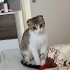 Evimizin tatlı kızı fotoğraf