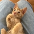 MİNİK YAVRUYA YUVA OLUR MUSUNUZ fotoğraf