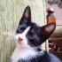 SOKAKLARA DÖNMEME İZİN VERMEYİN fotoğraf