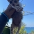 Annesi öldürüldü kardeşleri gençlik hastalığından öldü fotoğraf