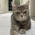Uyumlu ve sakin fotoğraf