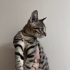Sizi yakışıklı bir minikle tanıştırmak istiyorum fotoğraf