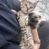 Sizi yakışıklı bir minikle tanıştırmak istiyorum fotoğraf