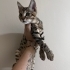 Sizi yakışıklı bir minikle tanıştırmak istiyorum fotoğraf