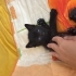 Güzeller güzeli iki kardeşe acil yuva fotoğraf