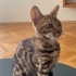 Anne baba ve oğulları fotoğraf