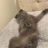 Ailem olur musun? fotoğraf