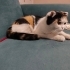 Çok tatlı bir kıza evinizi açmak ister misiniz fotoğraf
