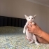 Minik kıza yuva arıyorum fotoğraf