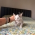 Minik kıza yuva arıyorum fotoğraf