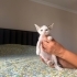 Minik kıza yuva arıyorum fotoğraf