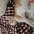 Yavruya acil yuva fotoğraf