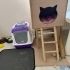 Eğitimli uysal scottish fold fotoğraf