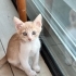 Oğlumuza yuva arıyoruz fotoğraf