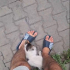 SEVGİYE DOYMUYOR - Yavru sıcakkanlı dost fotoğraf