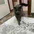 Acil yuva arıyoruz fotoğraf