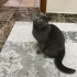 Acil yuva arıyoruz fotoğraf
