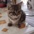 Minik kuzuma ömürlük yuva fotoğraf