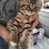 Minik kuzuma ömürlük yuva fotoğraf