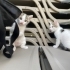 Belki onların beklediği aile sizsiniz. fotoğraf