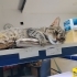 Kısır çipli ezo fotoğraf