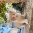 Minik kardesler fotoğraf