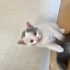 Minik kardesler fotoğraf